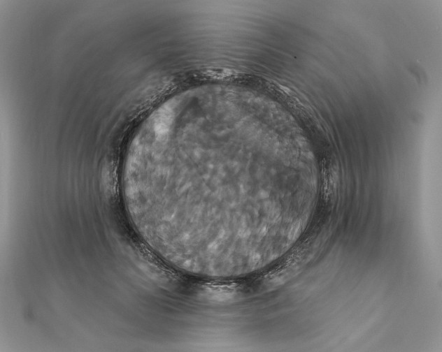 X0000111440606200908031354