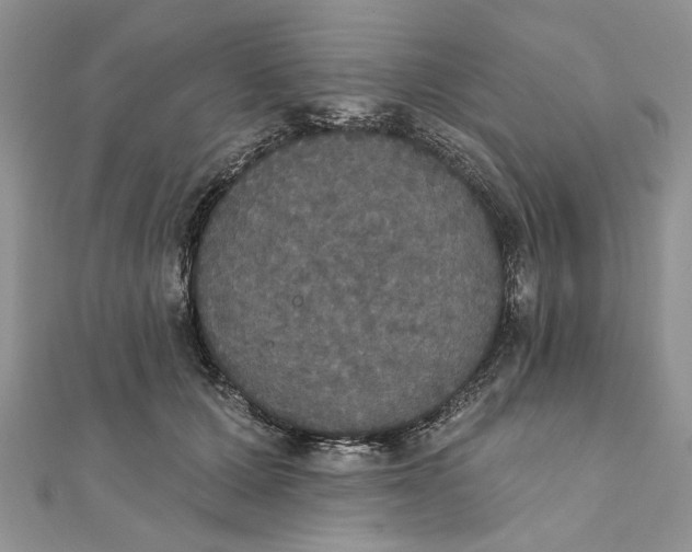 X0000111440607200908031354