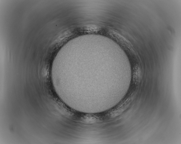 X0000111440608200908031354