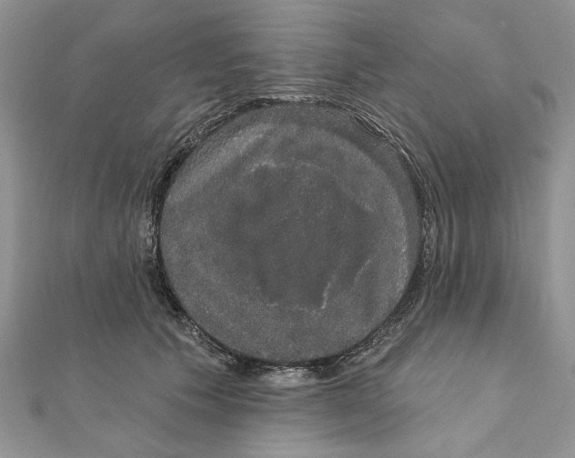 X0000111440609200908031354