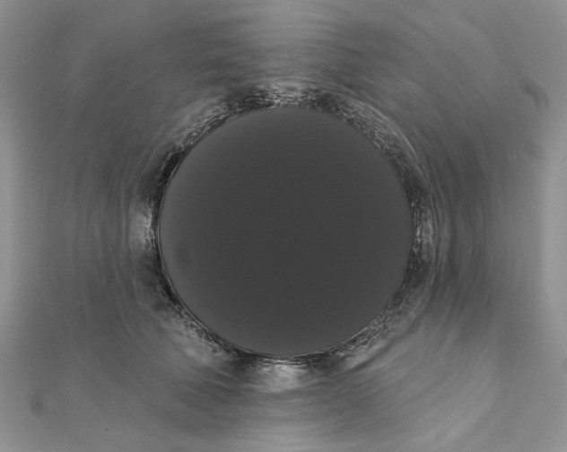 X0000111440610200908031354