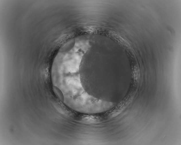 X0000111440611200908031354