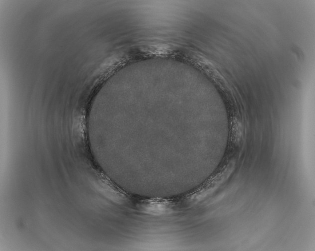 X0000111440612200908031354