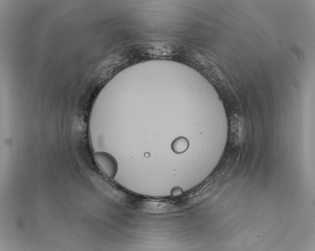 X0000111440614200908031354