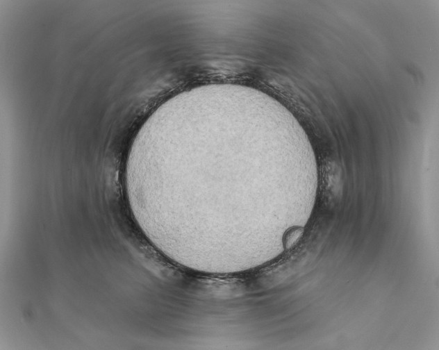 X0000111440615200908031353