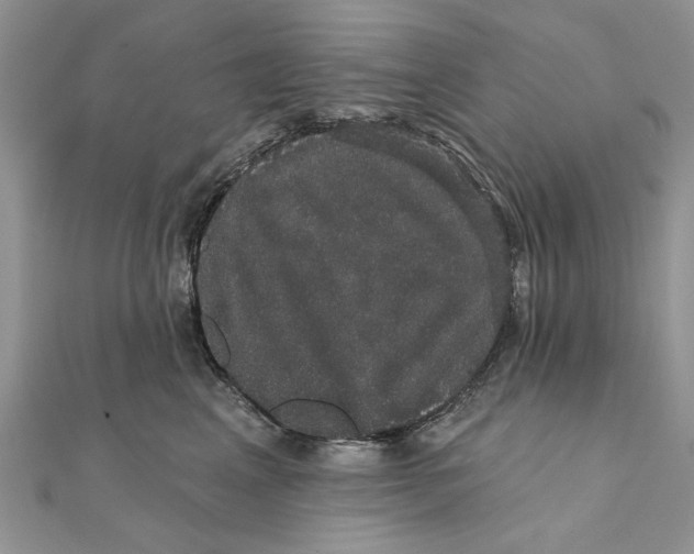 X0000111440617200908031353