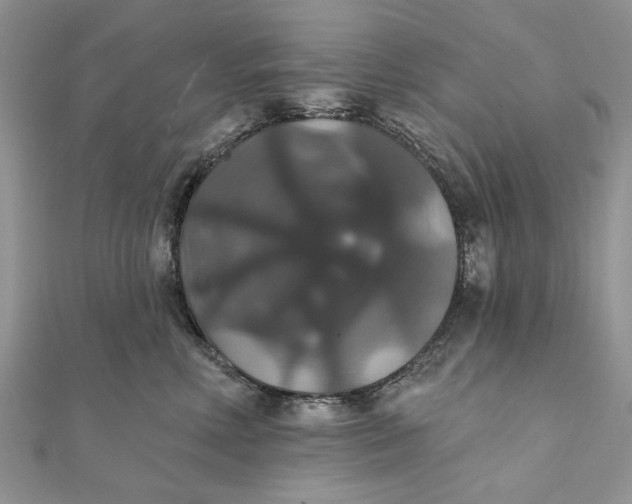 X0000111440618200908031353