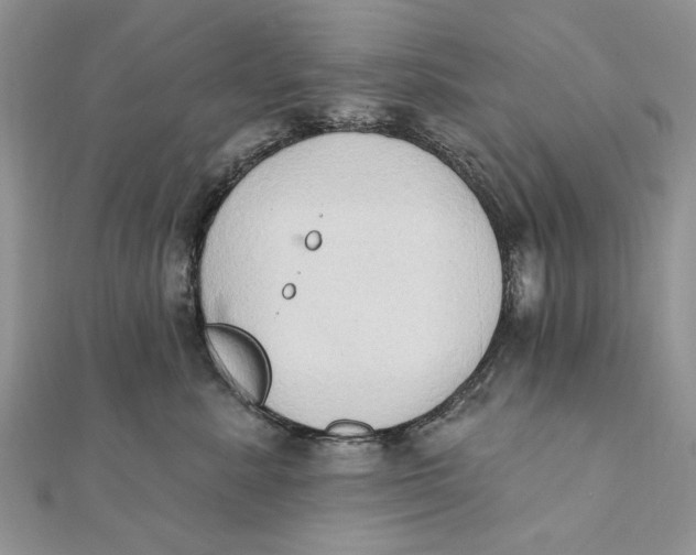 X0000111440619200908031353