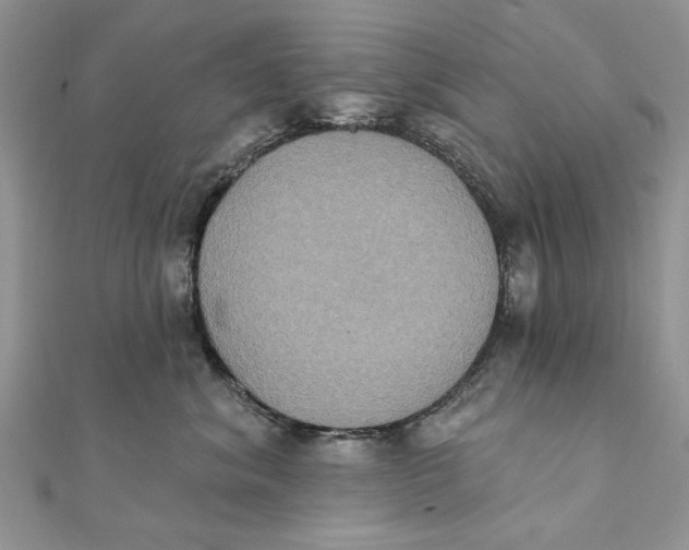 X0000111440620200908031353