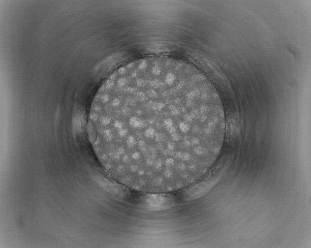 X0000111440623200908031353