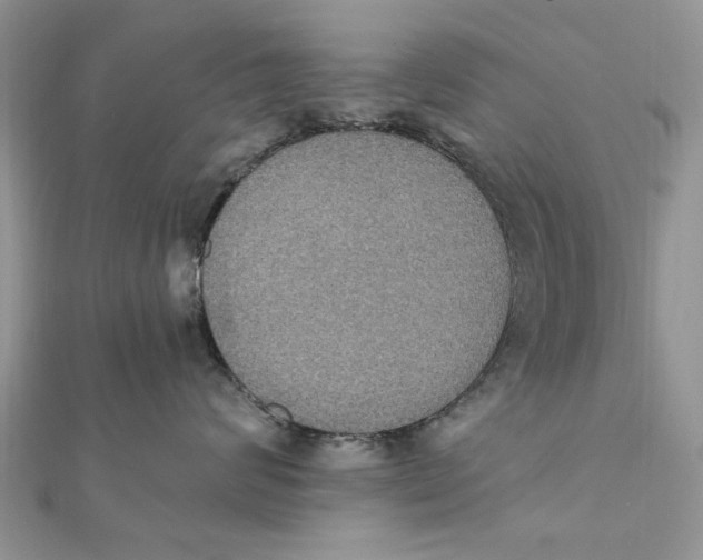 X0000111440624200908031353