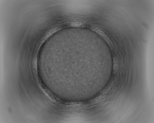 X0000111440626200908031353