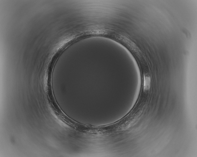 X0000111440627200908031353