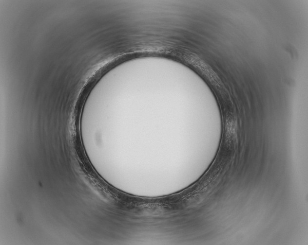 X0000111440628200908031353