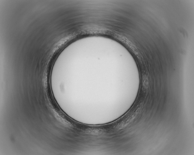 X0000111440629200908031353