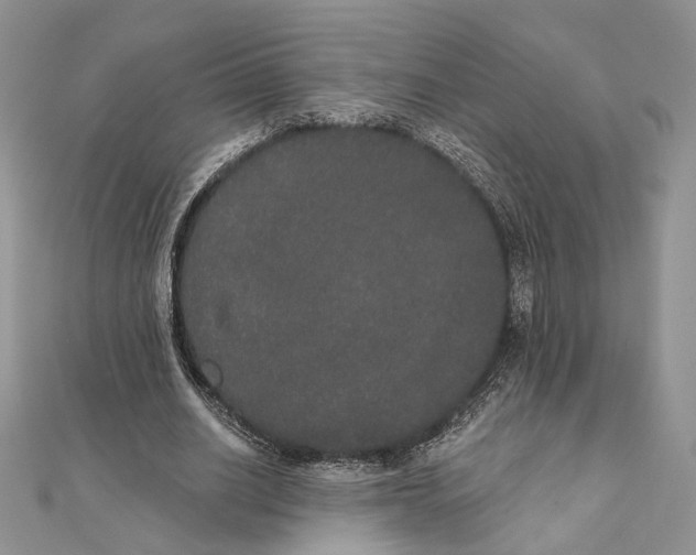 X0000111440630200908031353