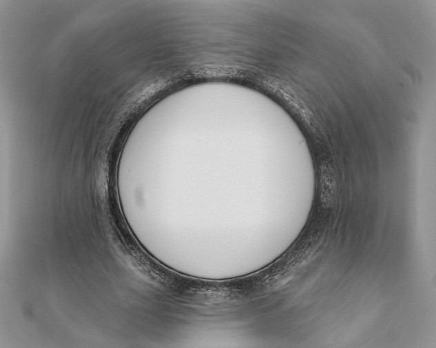 X0000111440631200908031353