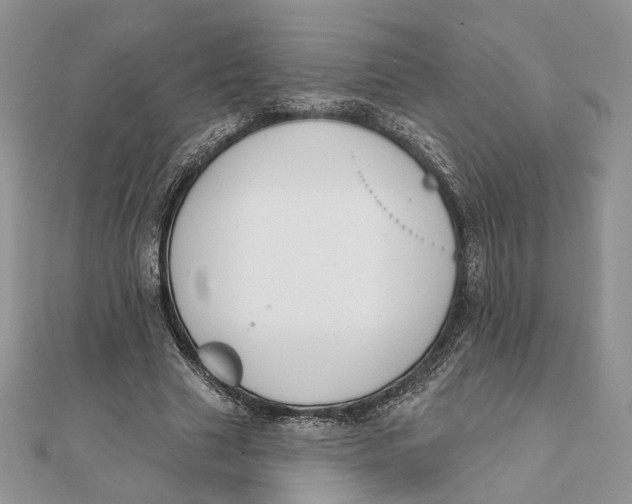 X0000111440633200908031353