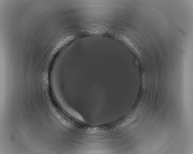 X0000111440634200908031353