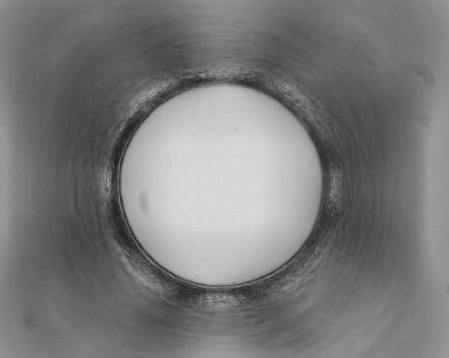 X0000111440636200908031353