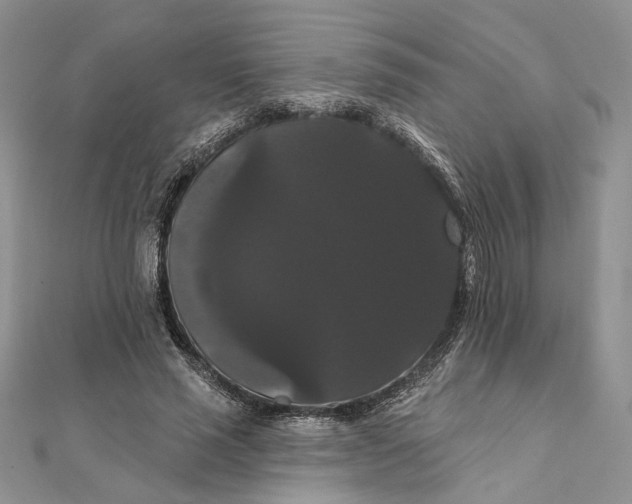 X0000111440637200908031353