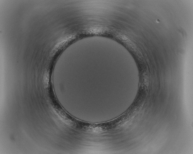 X0000111440640200908031353