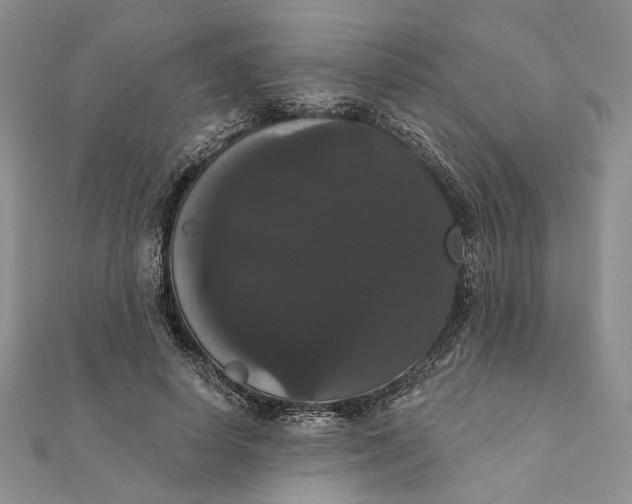 X0000111440642200908031353