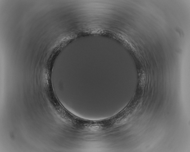 X0000111440643200908031353