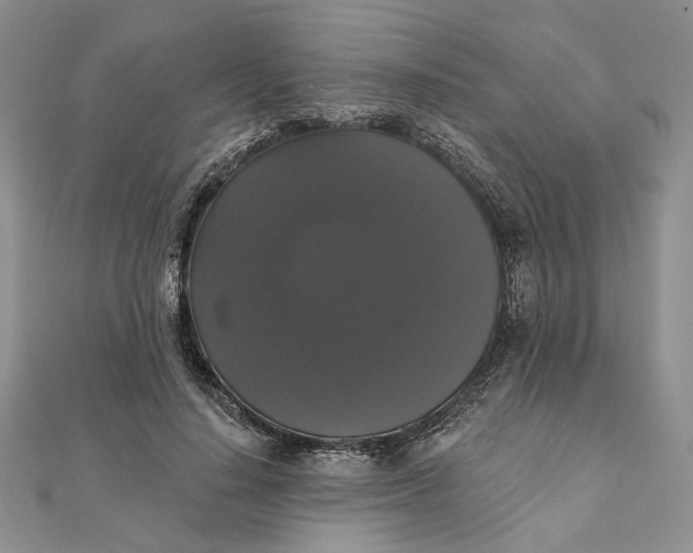 X0000111440644200908031353