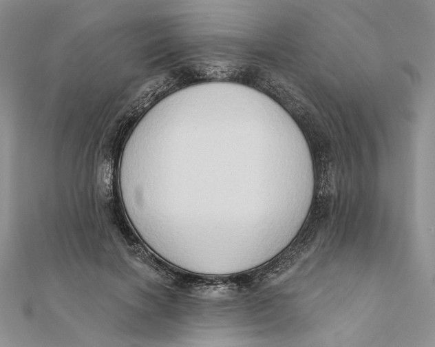 X0000111440646200908031353