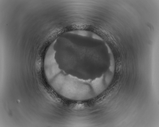 X0000111440647200908031353