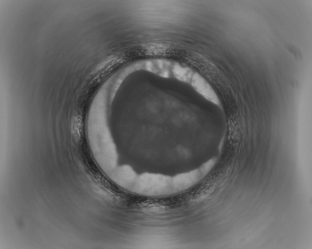 X0000111440648200908031353