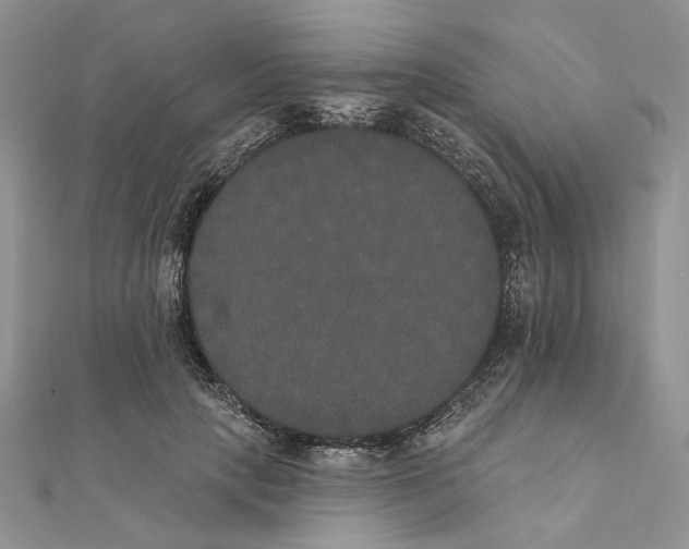 X0000111440649200908031353