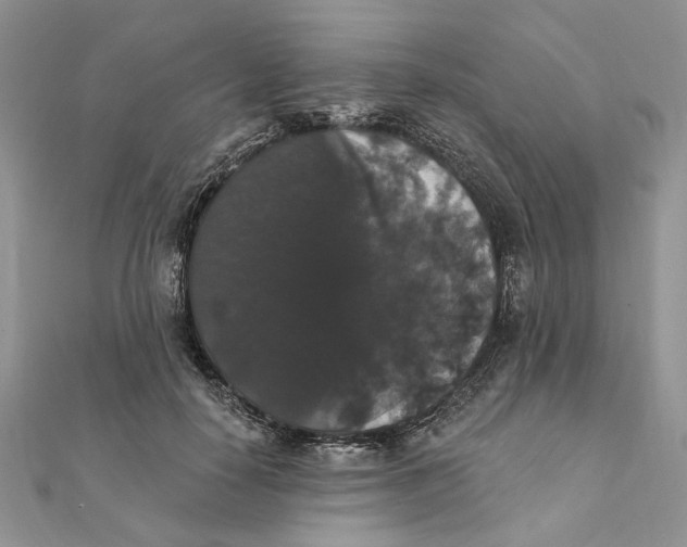 X0000111440650200908031353