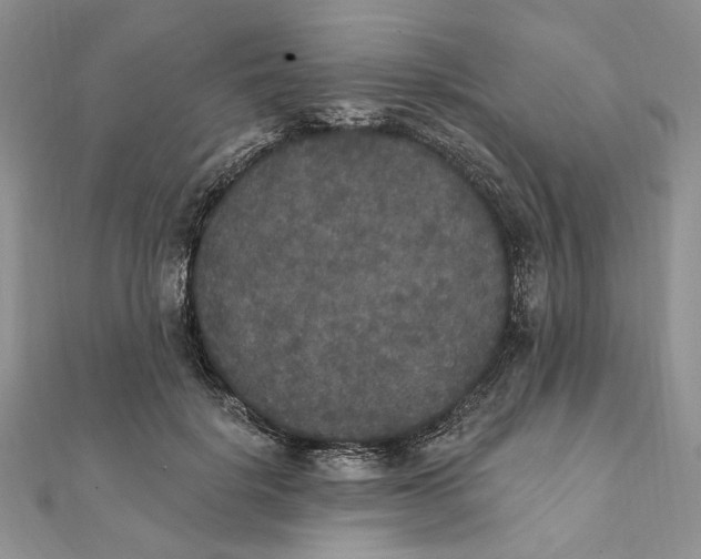 X0000111440652200908031353