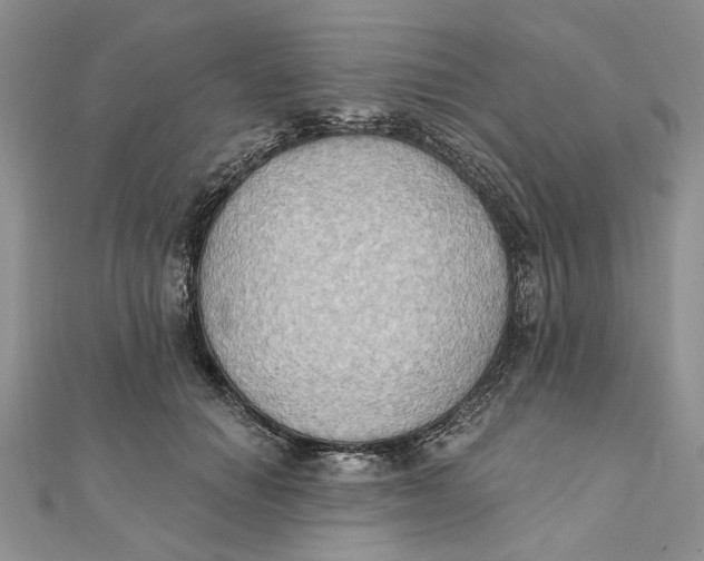 X0000111440654200908031353