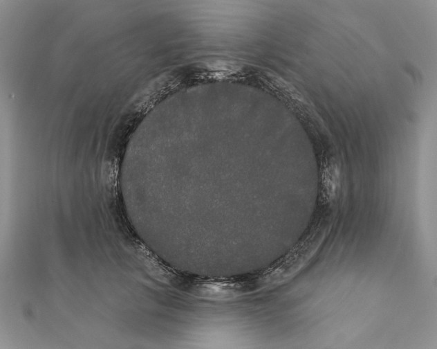 X0000111440657200908031353