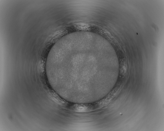 X0000111440658200908031353