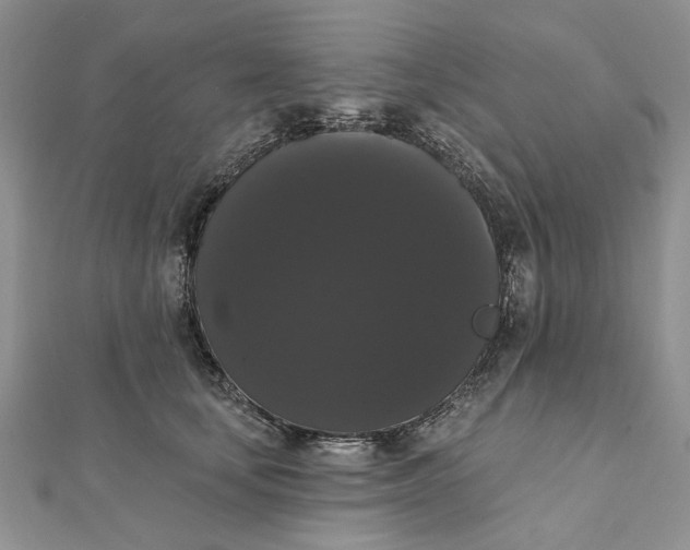 X0000111440659200908031353