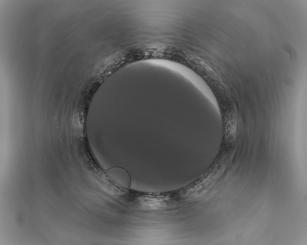 X0000111440661200908031353