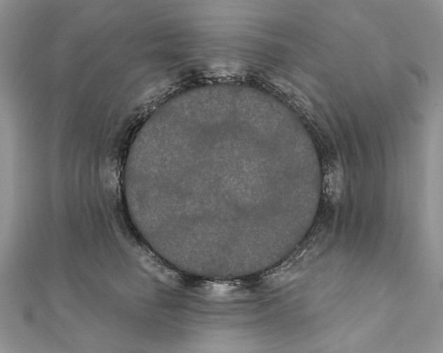 X0000111440662200908031353