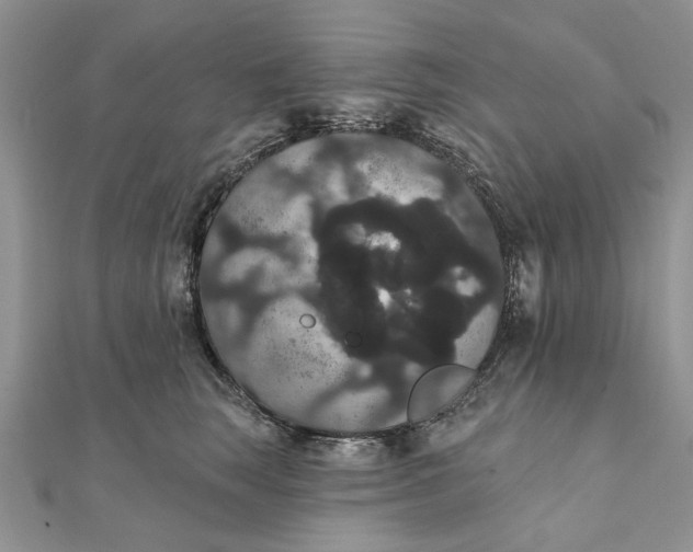 X0000111440663200908031353