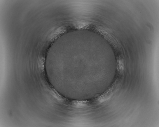 X0000111440664200908031353