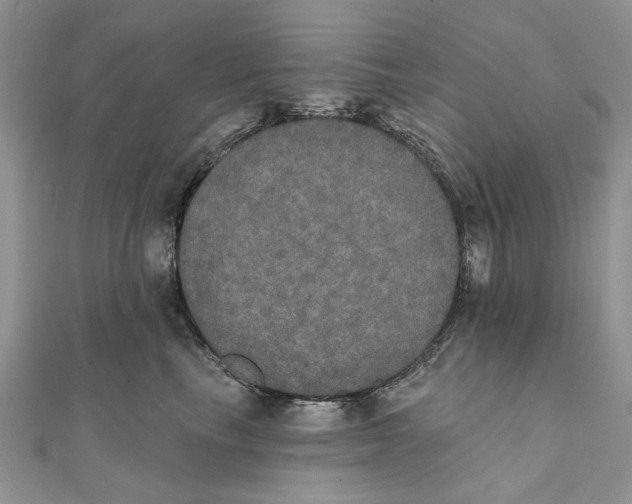 X0000111440665200908031353