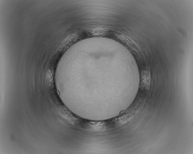 X0000111440667200908031353