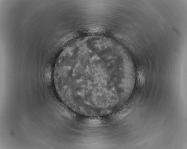 X0000111440668200908031353