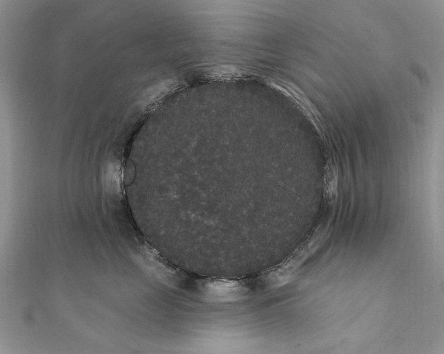 X0000111440669200908031353