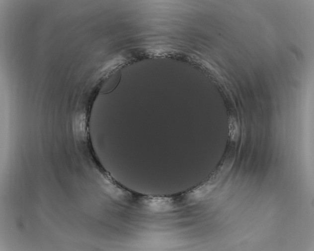 X0000111440670200908031353