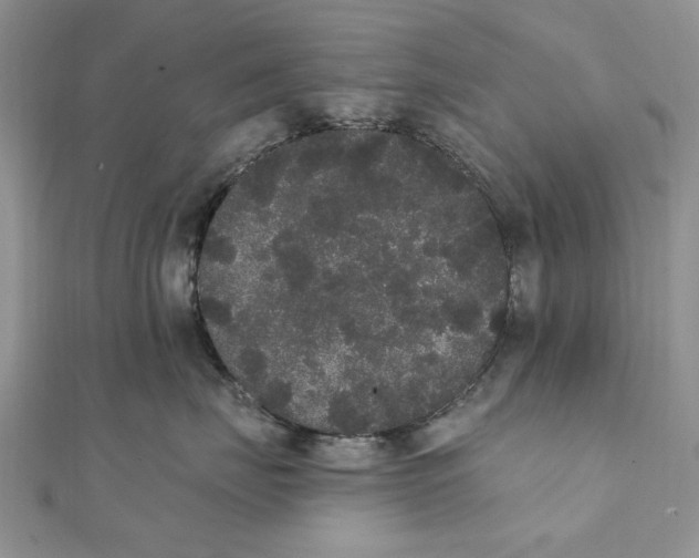 X0000111440671200908031353