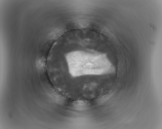 X0000111440672200908031353